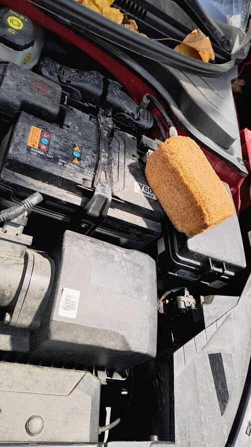 Chleb schowany przez kune pod maska samochodu.